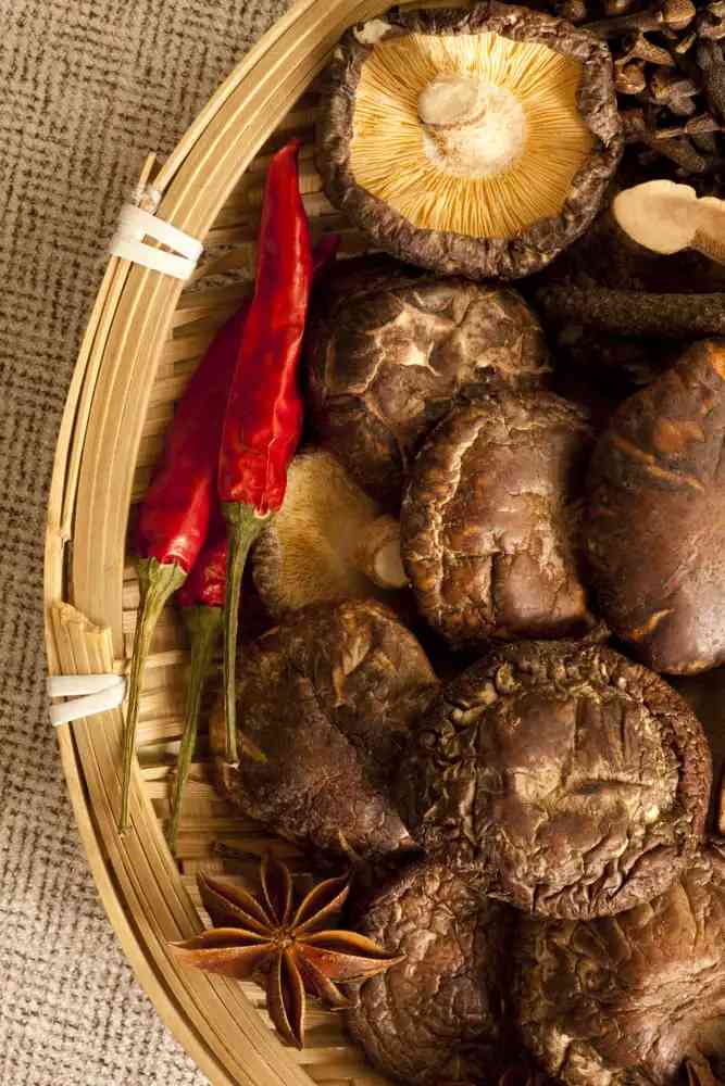 Dehydrated Portabello Mushrooms