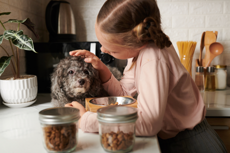 Best practice for pet treats
