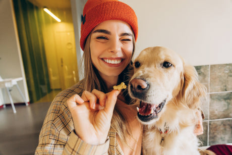 Food safety for dehydrated pet treats in the UK