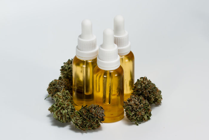 Three dropper bottles with a cannabis oil product surrounded by cannabis buds on a light gray background