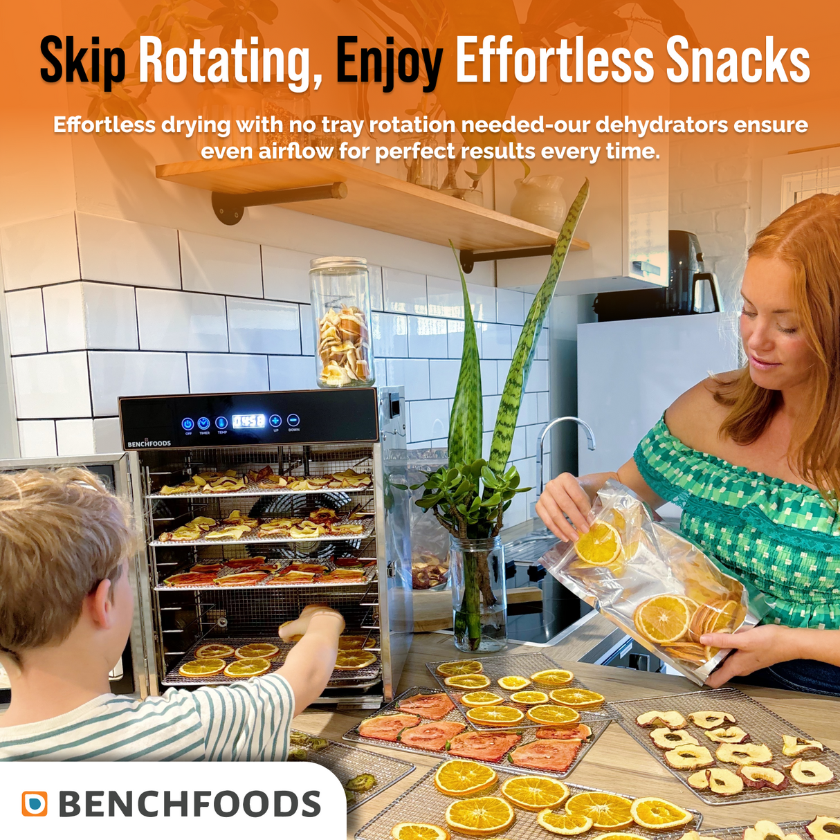 1 Zone / 10 Tray / 0.6m² Tray Area - Biltong Bundle