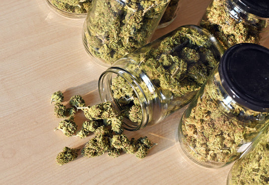 Glass jars filled with dehydrated cannabis on a wooden surface